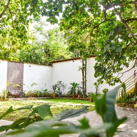 Green House Tarapoto Exterior photo