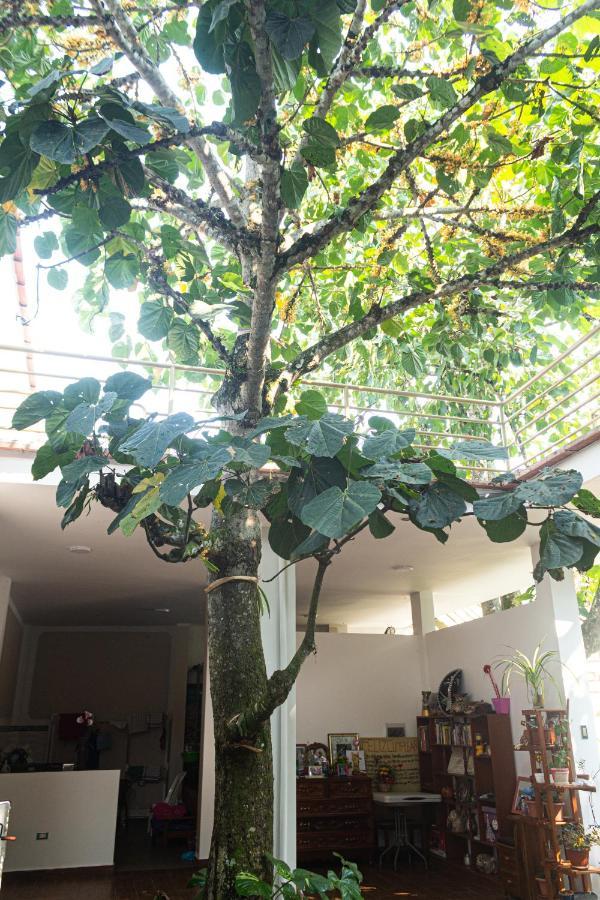 Green House Tarapoto Exterior photo