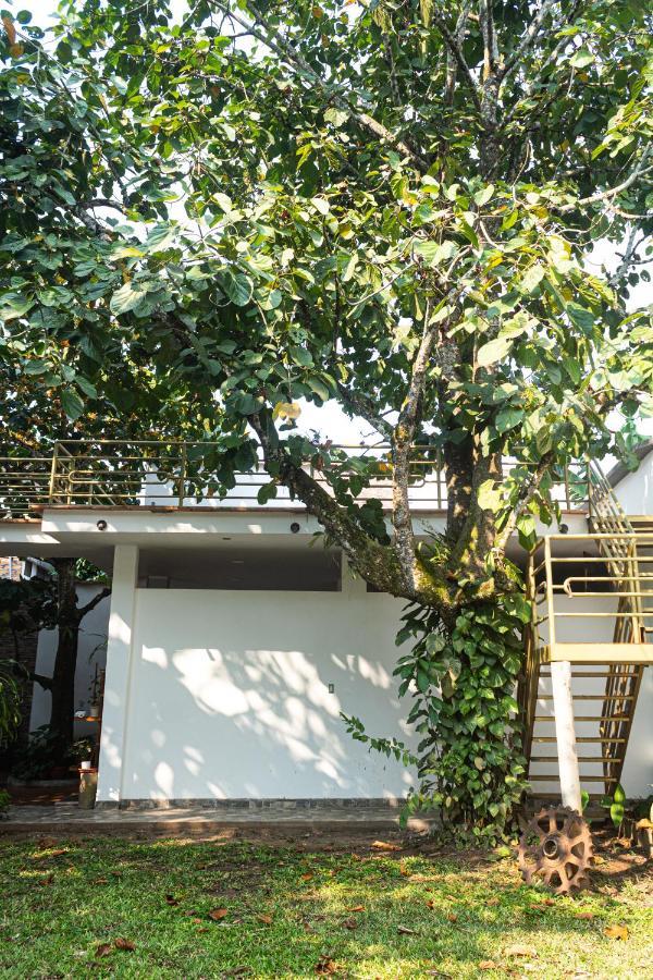 Green House Tarapoto Exterior photo